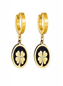 Stainless Steel Earrings