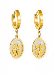 Stainless Steel Earrings