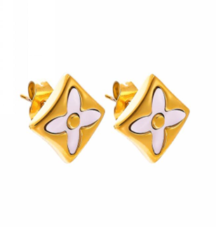 Stainless Steel Earrings